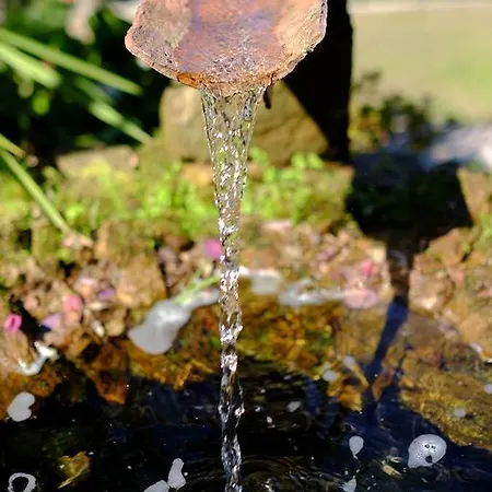 Casa Do Penedo Lavradas